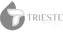 trieste_energy_logo